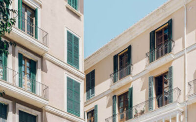 Adjudican una vivienda pública con una plaga de cucarachas en Bilbao