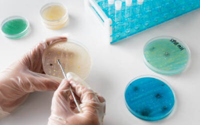 Alertan de un aumento de los casos de Legionella durante el verano