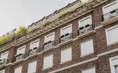 Control de plagas en comunidades: ¿Qué trabajos se hacen en las zonas comunes?