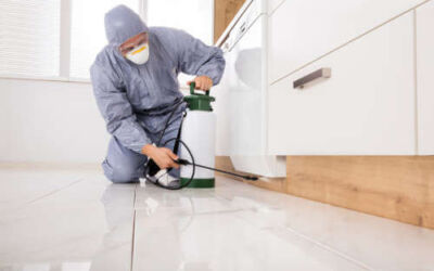 Diferencia entre fumigación y control de plagas