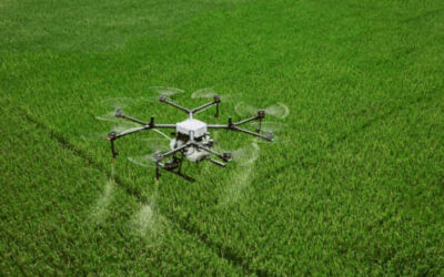 ¿Empleo de drones para el control de plagas en las ciudades?