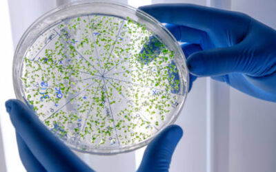 Novedades en la normativa sobre la prevención de la Legionella