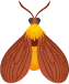 Polilla-1