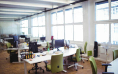 ¿Cómo debemos actuar ante una plaga de chinches en la oficina?