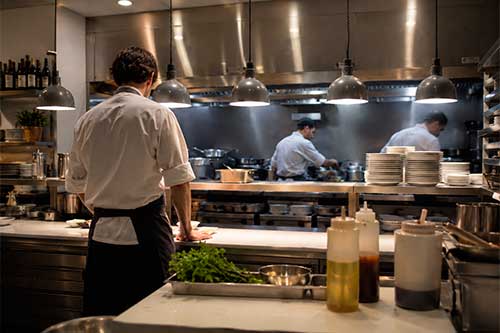 ¿Por qué son peligrosas las cucarachas en bares y restaurantes?