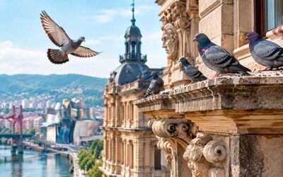 Cómo proteger los edificios históricos de Bilbao frente a las palomas
