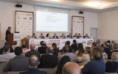 El congreso más importante sobre eliminación de termitas se celebrará en Bilbao