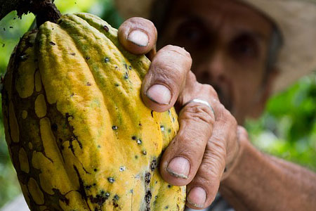 Nuevas leyes para el control de plagas en la UE