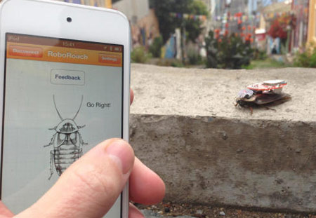 Control de cucarachas con un chip