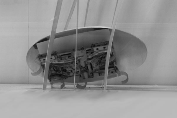 Las cucarachas referencia en la robótica