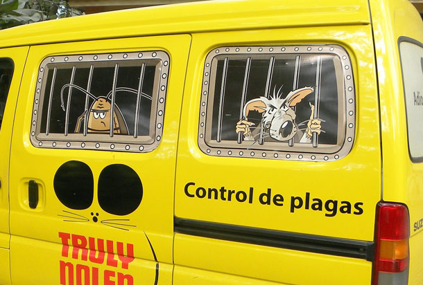 Cómo contratar servicios de control de plagas