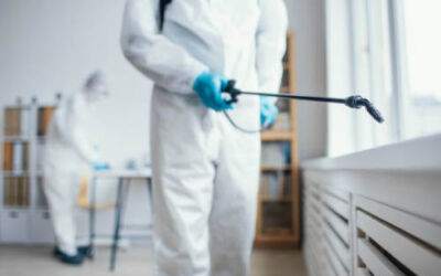 ¿Por dónde entra una plaga de cucarachas a una vivienda?