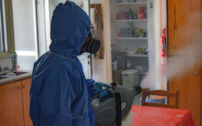 ¿Qué es una nebulización en el control de plagas?