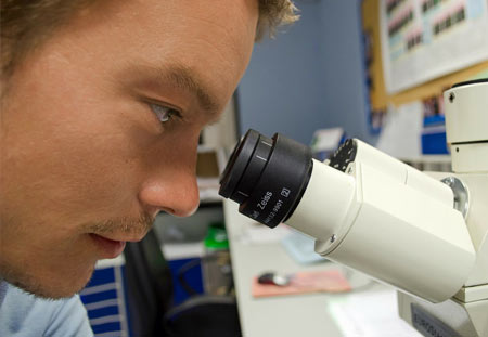 Retos futuros del control de plagas en Bizkaia