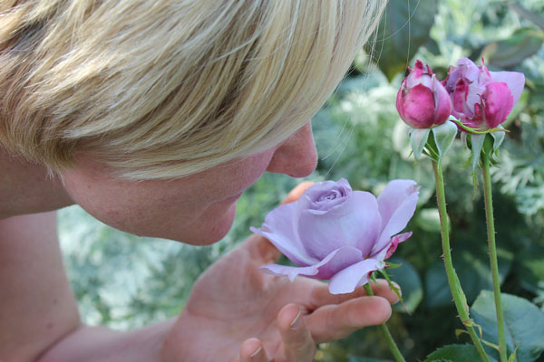 Sonidos y olores ayudarán en el control de plagas