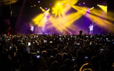 Las plagas de insectos y los festivales de música de verano