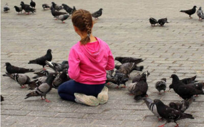 ¿Por qué no se debe dar de comer a las palomas en Bilbao?