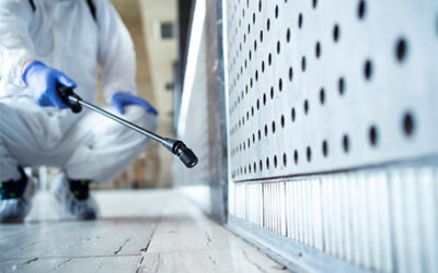 ¿Por qué la primavera es el momento adecuado para una desinsectación?