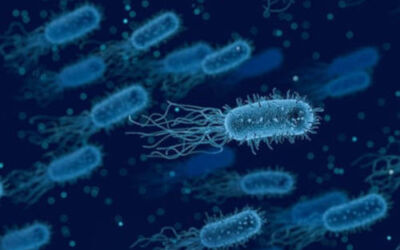 Legionella ¿Qué es? ¿Cómo se contagia?