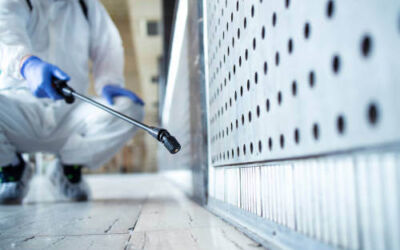 ¿Qué es la fumigación? ¿Para qué sirve?