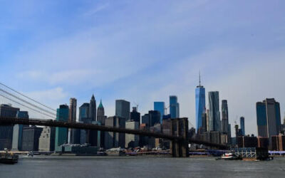 ¿170.000 dólares por combatir una plaga de ratas?