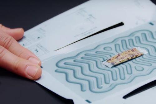 Trampas para eliminar cucarachas a escala humana