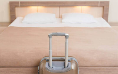 ¡Comienzan las vacaciones, cuidado con las plagas de chinches!